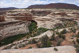 Natural Bridges